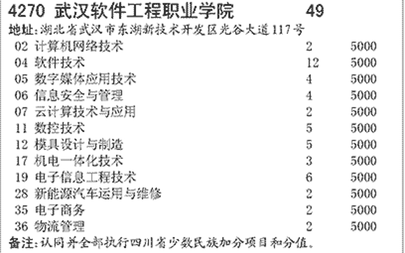 武汉软件开发：本土企业的崛起之路